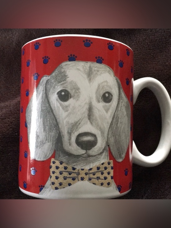 Tri-Costal design Other - Adorable dachshund mug in a bow tie beverage mug.